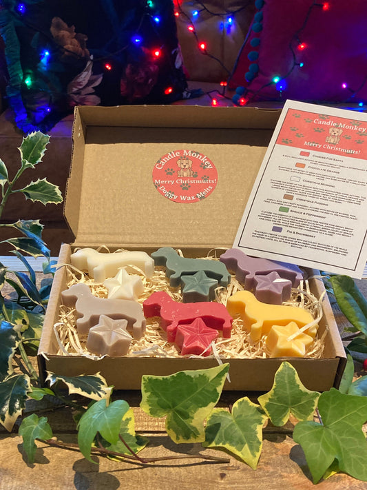 Merry Christmutts! Dachshund Dogs Cute Doggy Christmas Festive Scented Wax Melts In Gift Box Free UK Post