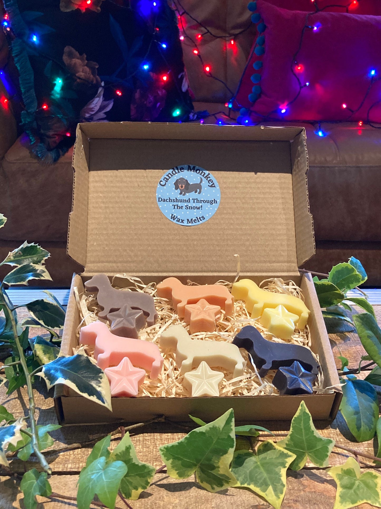 Dachshund Through The Snow! Sausage Dogs Christmas Festive Scented Wax Melts In Gift Box Free UK Post