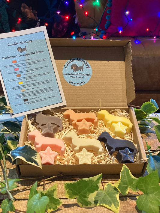 Dachshund Through The Snow! Sausage Dogs Christmas Festive Scented Wax Melts In Gift Box Free UK Post