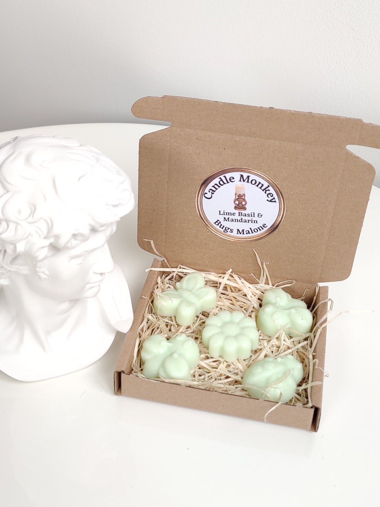 Bugs Malone 5 Wax Melts Insects Entomologist Gift Set Free UK Post