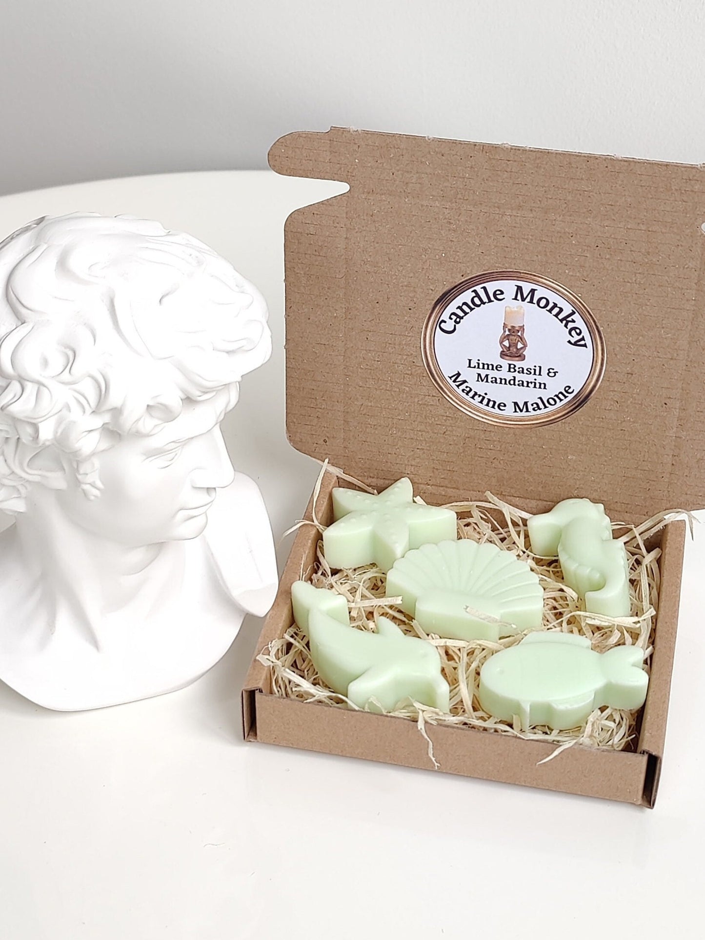 Marine Malone 5 Wax Melts Sea Creatures Dolphin Pomegranate Noir, Orange Blossom, Wood Sage Sea Salt, Lime Basil Mandarin Free UK Postage