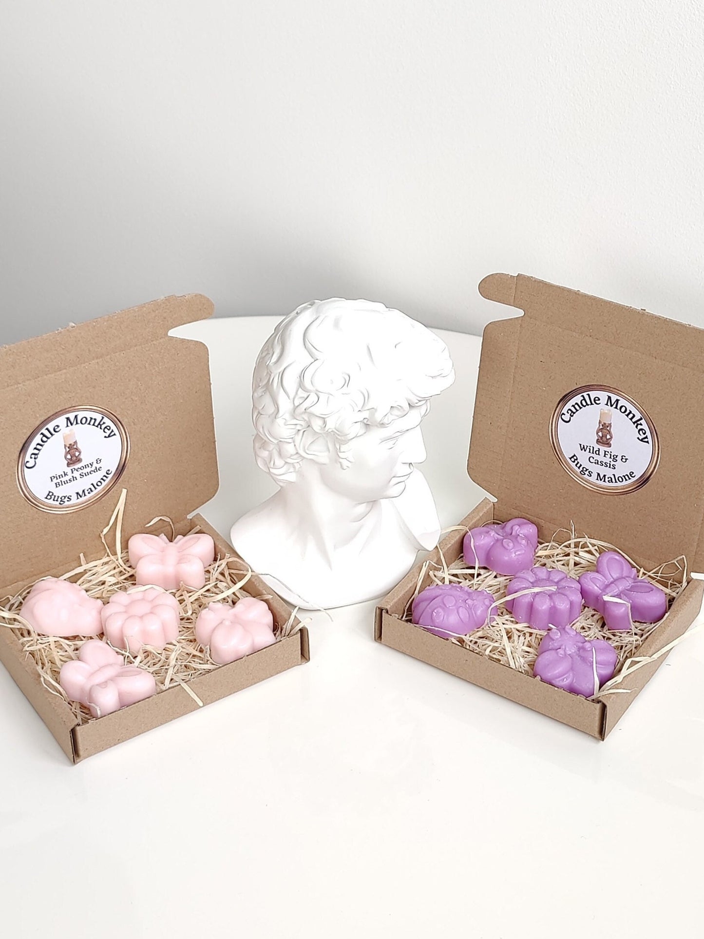 Bugs Malone 5 Wax Melts Insects Entomologist Gift Set Free UK Post