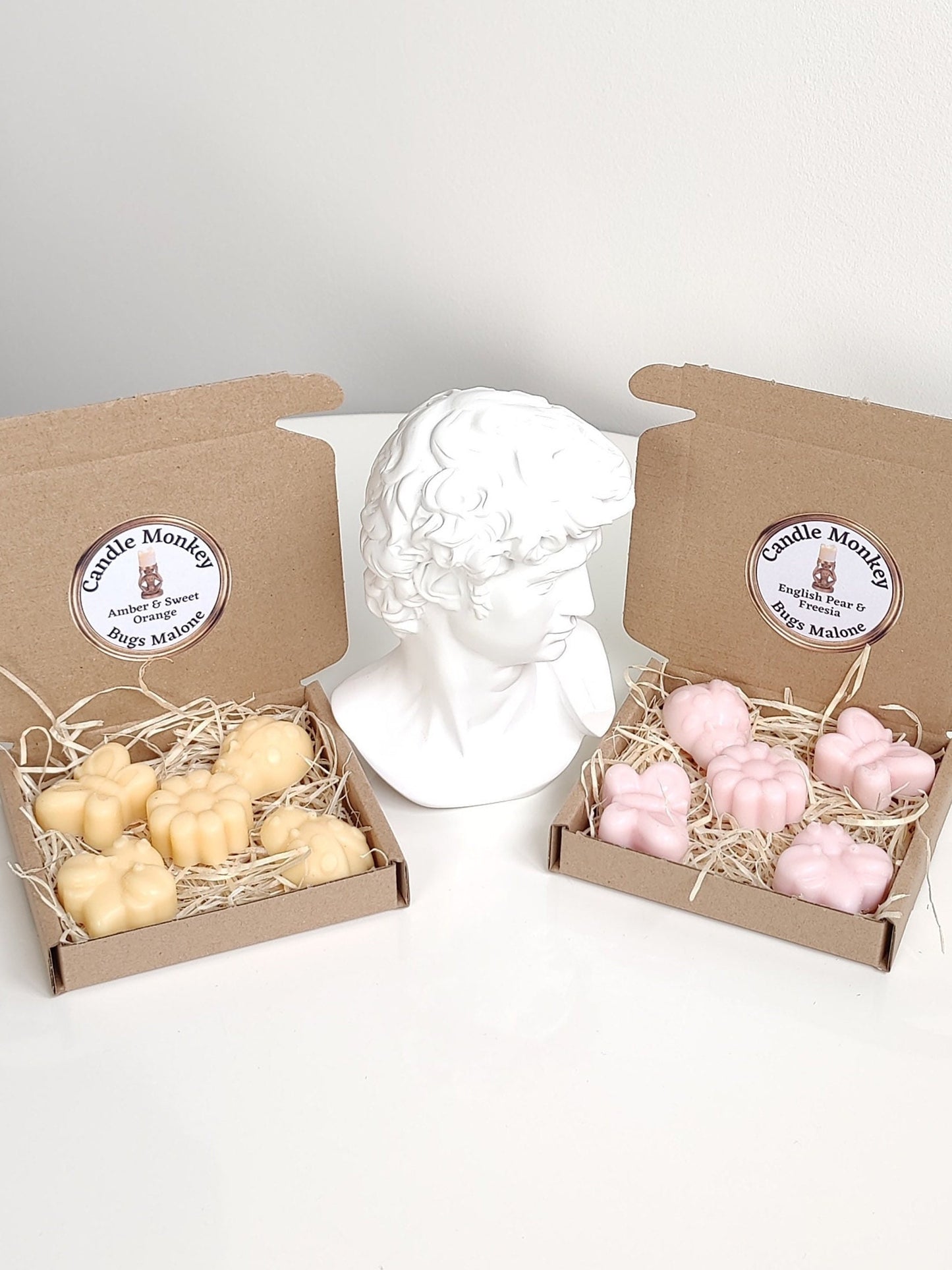 Bugs Malone 5 Wax Melts Insects Entomologist Gift Set Free UK Post