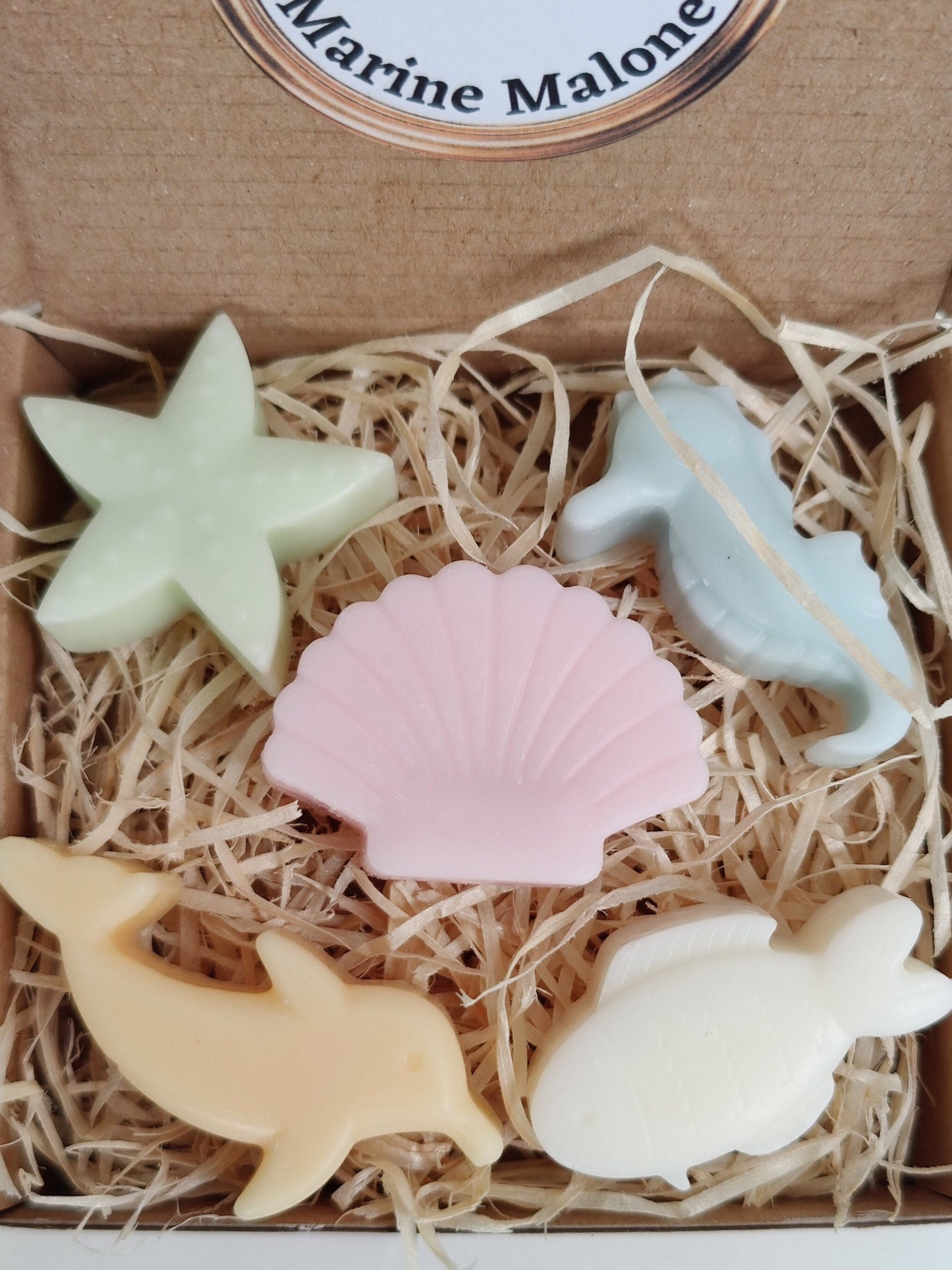 Marine Malone 5 Wax Melts Sea Creatures Dolphin Pomegranate Noir, Orange Blossom, Wood Sage Sea Salt, Lime Basil Mandarin Free UK Postage