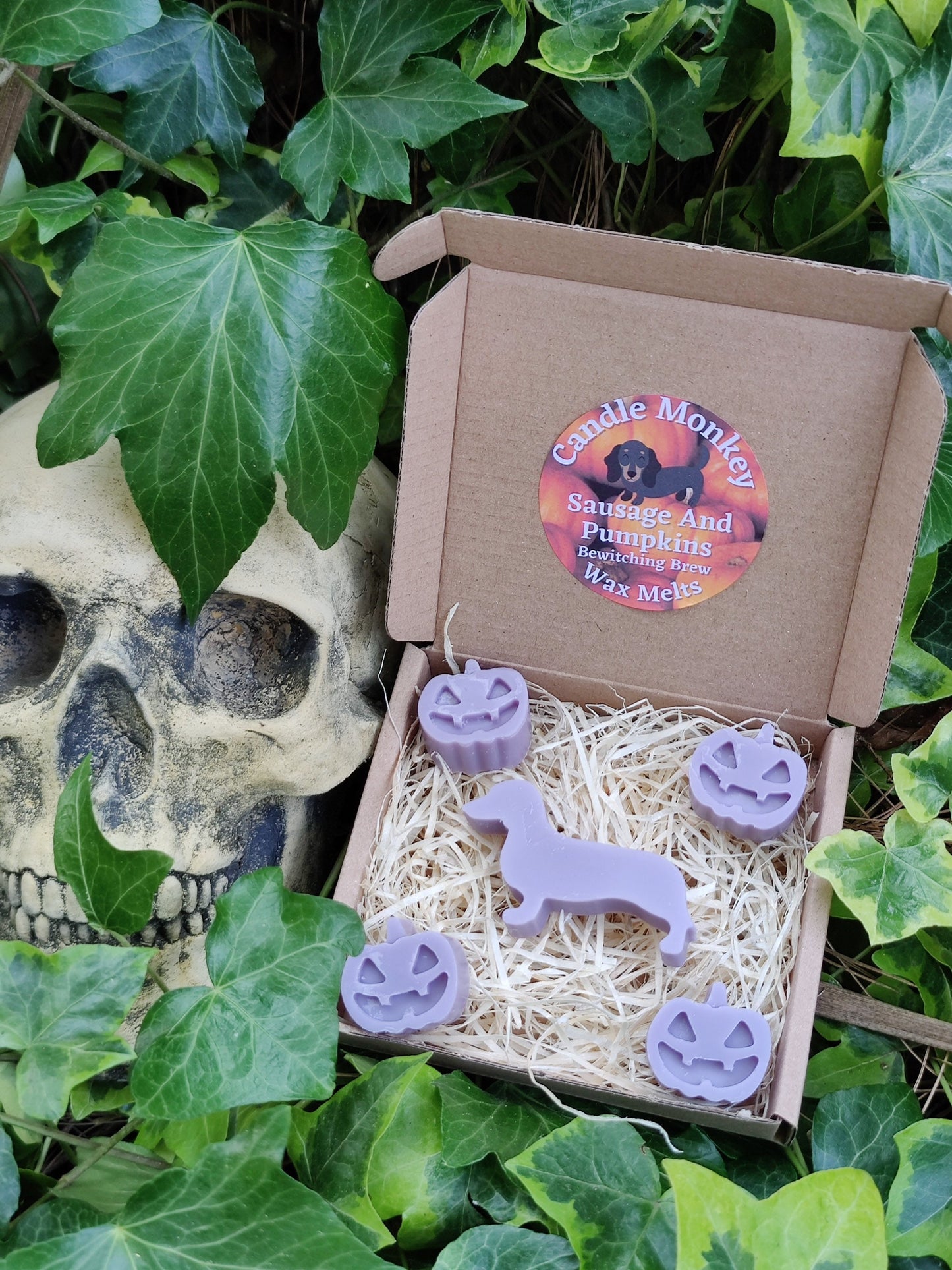 Sausages and Pumpkins Devilishly Good Halloween Dachshund Dog Soy Wax Melts Free UK Post