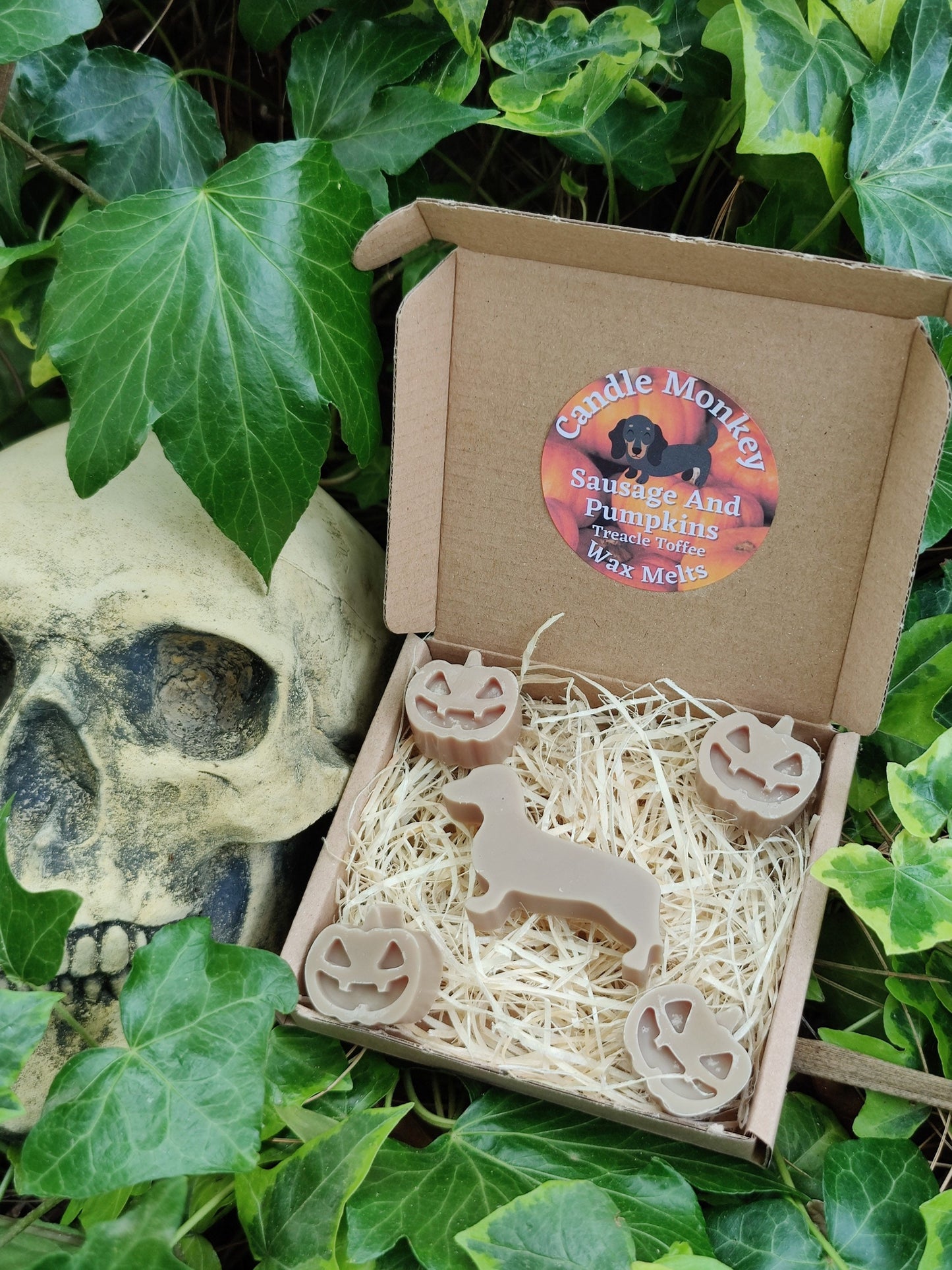 Sausages and Pumpkins Devilishly Good Halloween Dachshund Dog Soy Wax Melts Free UK Post