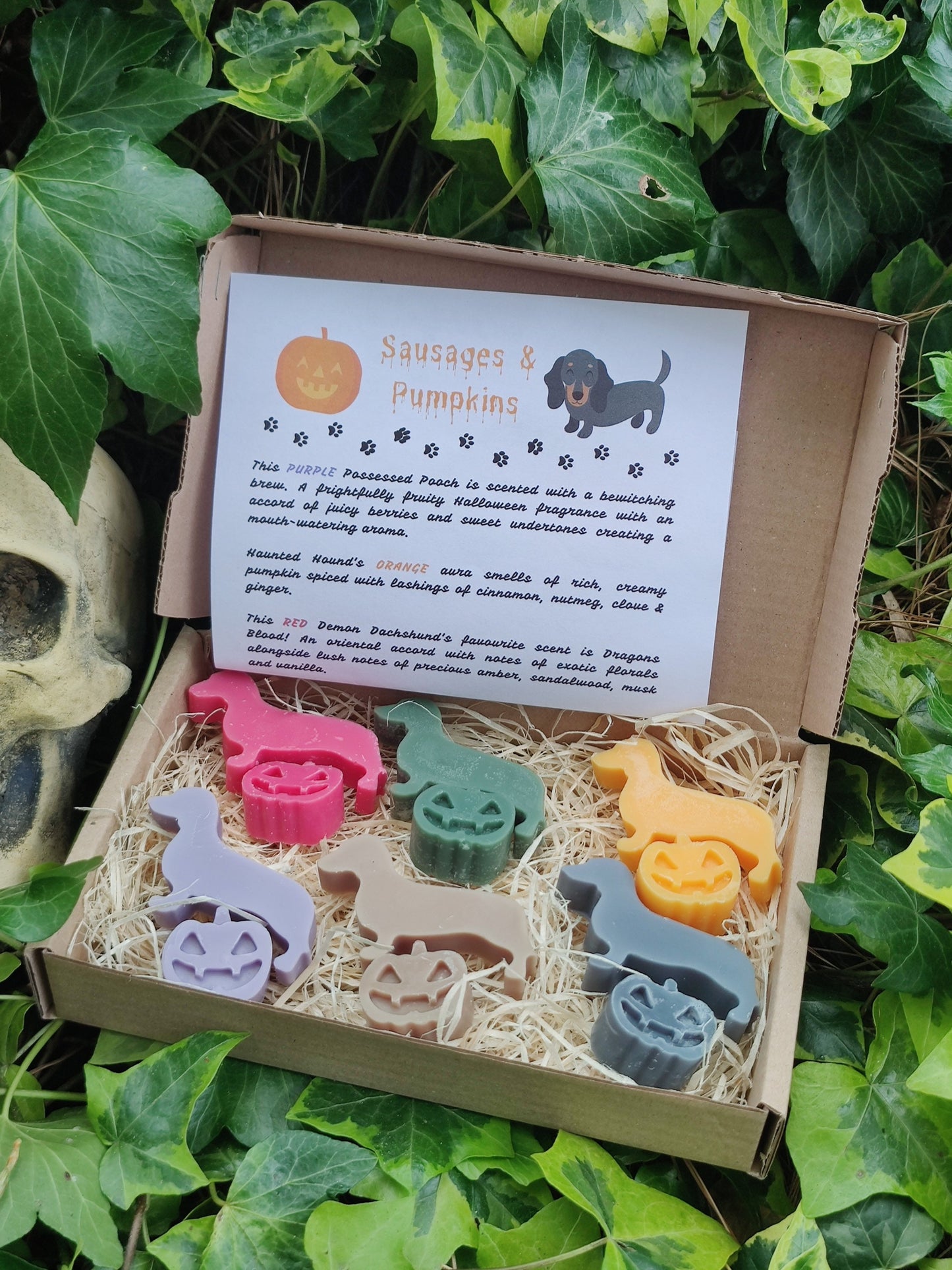 Sausages and Pumpkins Devilishly Good Halloween Dachshund Dog Soy Wax Melts Free UK Post