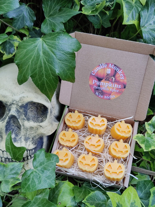 Pumpkins Soy Wax Melts in a choice of Pumpkin Spice, Bewitching Brew, Dragon's Blood, Hocus Pocus, Treacle Toffee, Love Potion Free UK Post