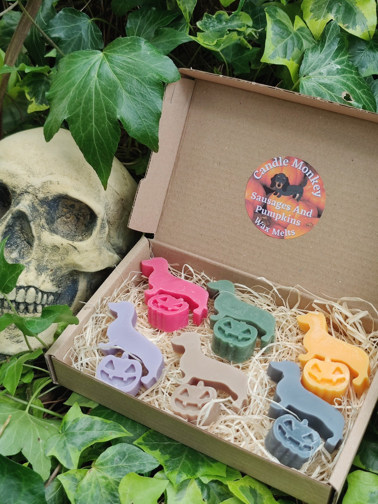 Sausages and Pumpkins Devilishly Good Halloween Dachshund Dog Soy Wax Melts Free UK Post