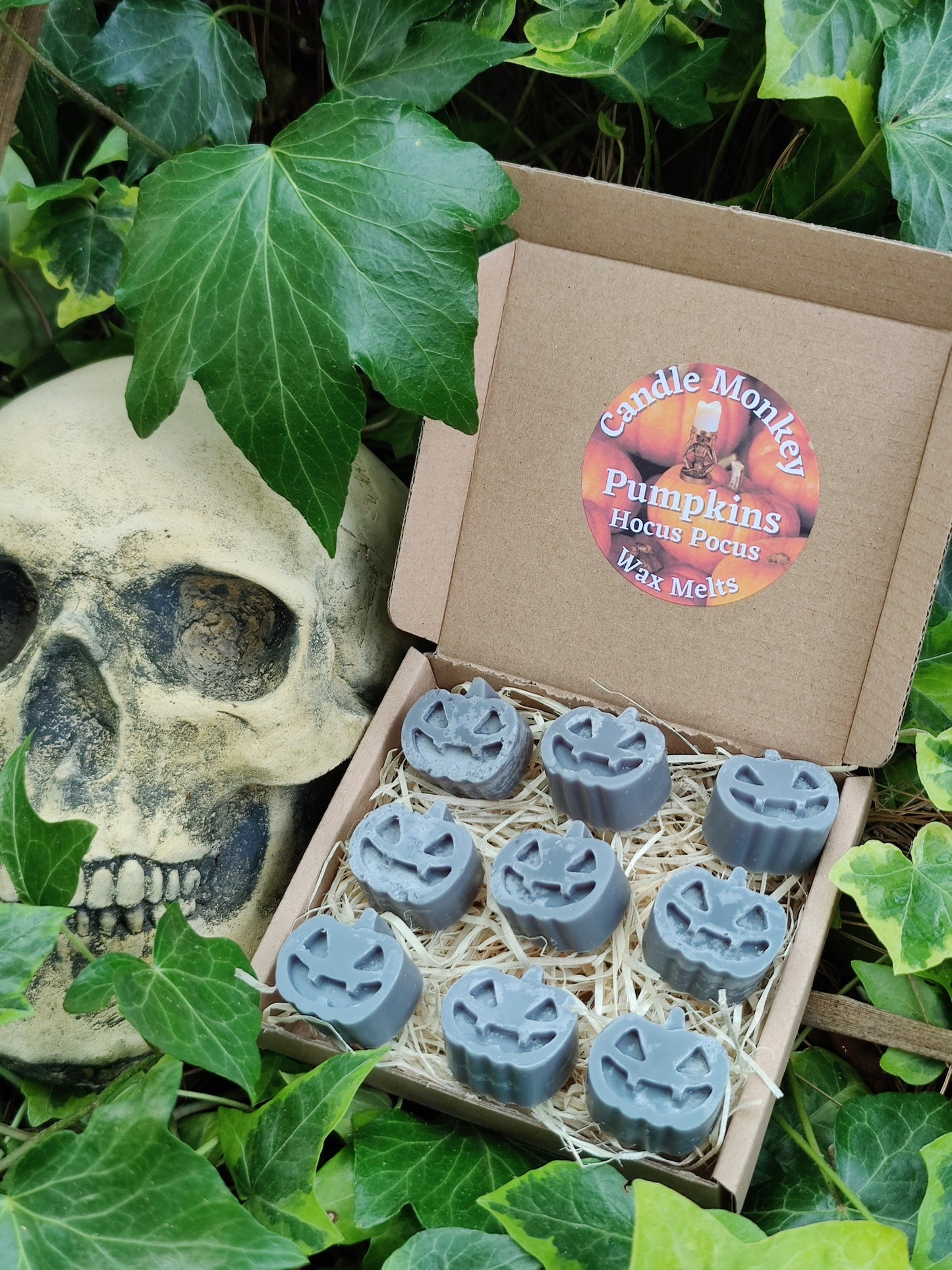 Pumpkins Soy Wax Melts in a choice of Pumpkin Spice, Bewitching Brew, Dragon's Blood, Hocus Pocus, Treacle Toffee, Love Potion Free UK Post