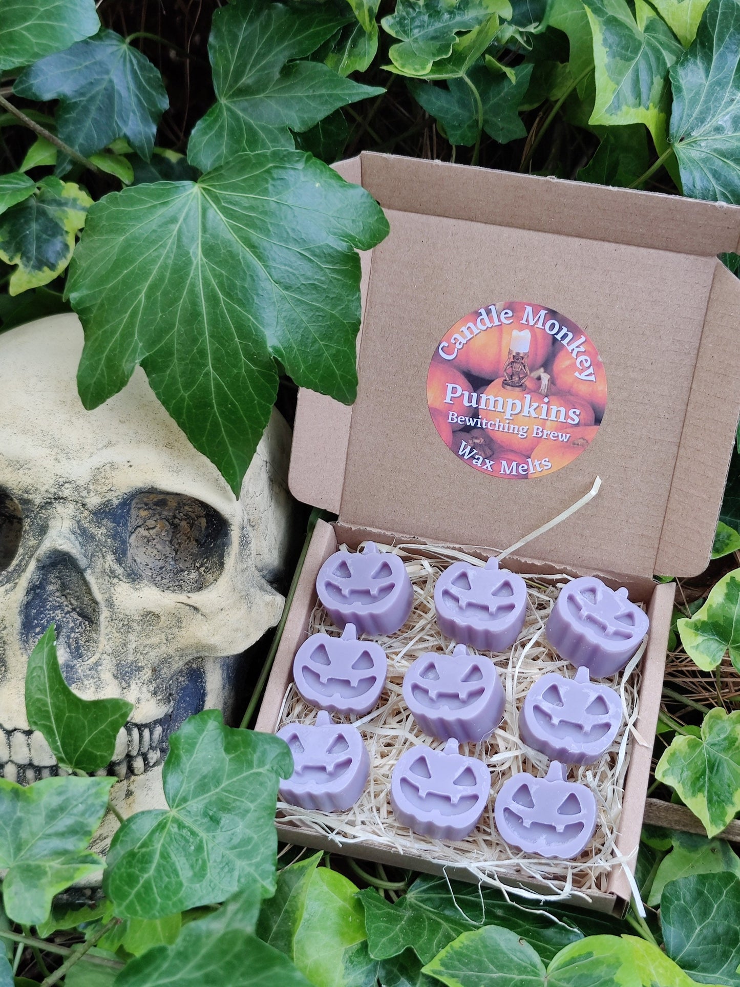 Pumpkins Soy Wax Melts in a choice of Pumpkin Spice, Bewitching Brew, Dragon's Blood, Hocus Pocus, Treacle Toffee, Love Potion Free UK Post