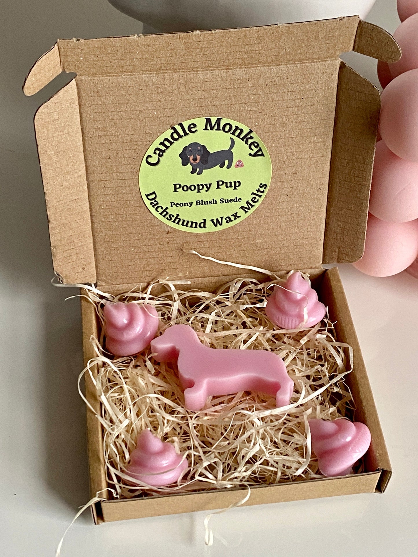 Poopy Pups - Spring Collection Dachshund Sausage Dogs Wax Melts Fresh Spring Fragrances Free UK Post