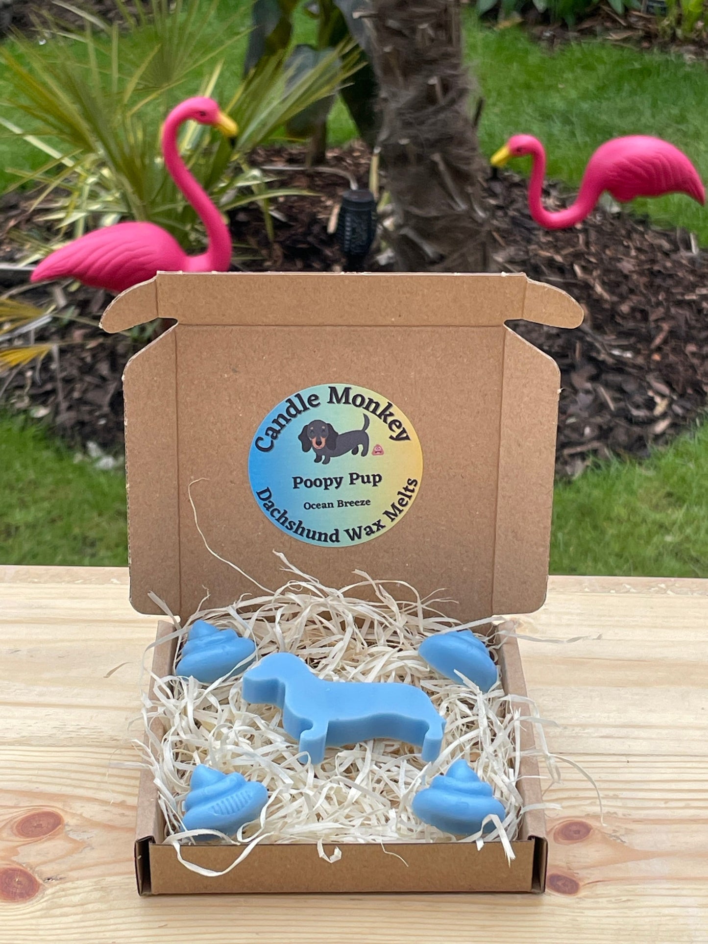 Poopy Pups - Summer Collection Dachshund Sausage Dog Wax Melts Tropical Beach Scents Free UK Post