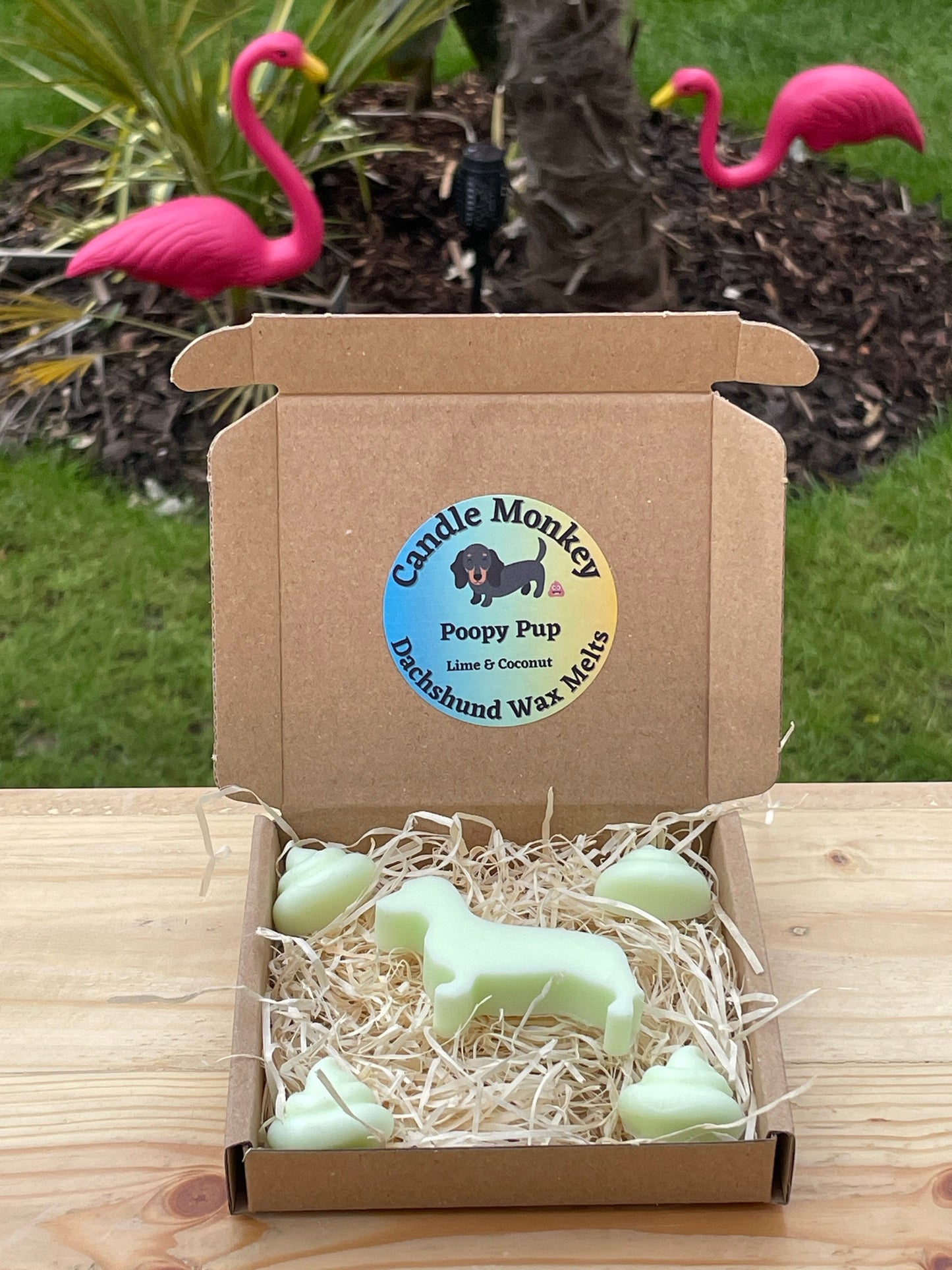 Poopy Pups - Summer Collection Dachshund Sausage Dog Wax Melts Tropical Beach Scents Free UK Post