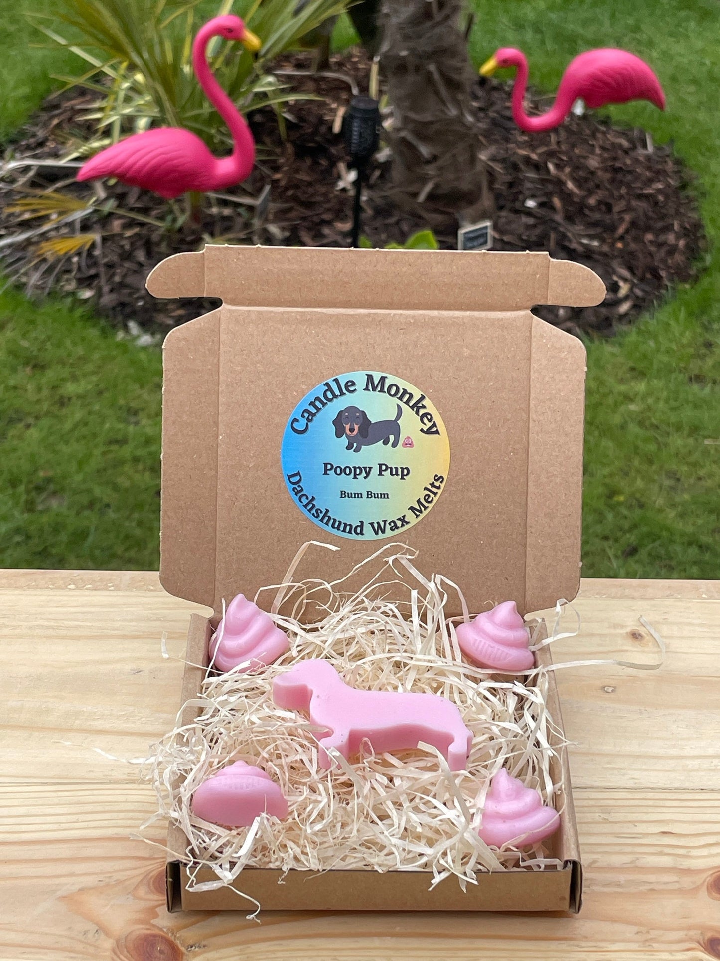 Poopy Pups - Summer Collection Dachshund Sausage Dog Wax Melts Tropical Beach Scents Free UK Post