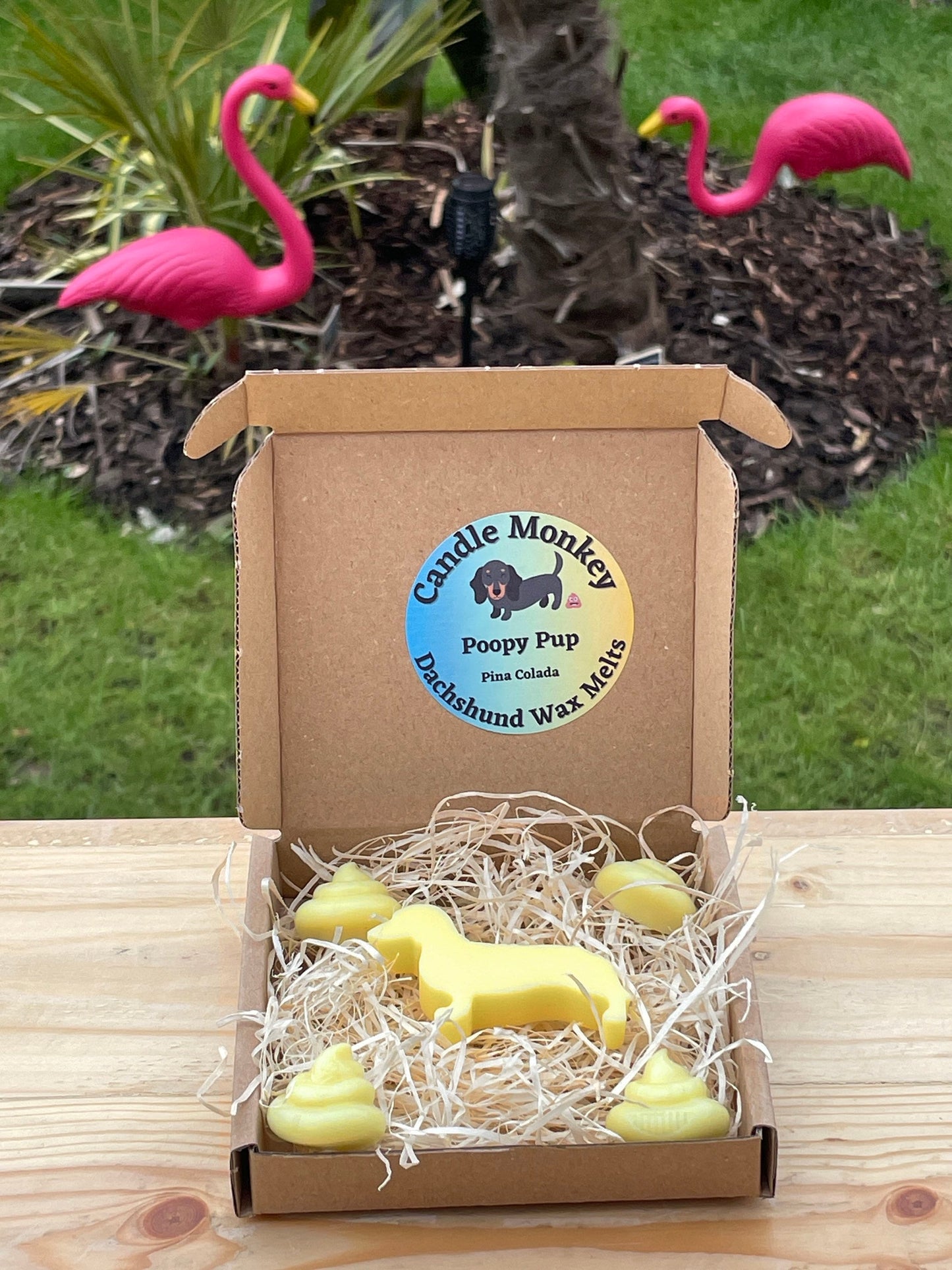 Poopy Pups - Summer Collection Dachshund Sausage Dog Wax Melts Tropical Beach Scents Free UK Post