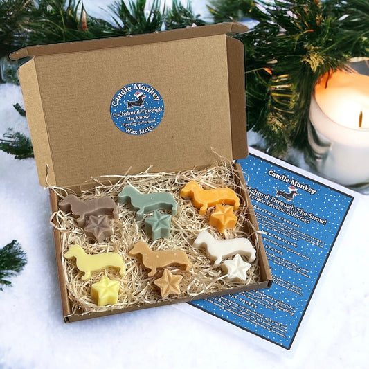 Dachshund Through the Snow! Christmas Fireside Collection Dachshund Sausage Dogs Wax Melts 12 Wax Melts In Gift Box Free UK Post