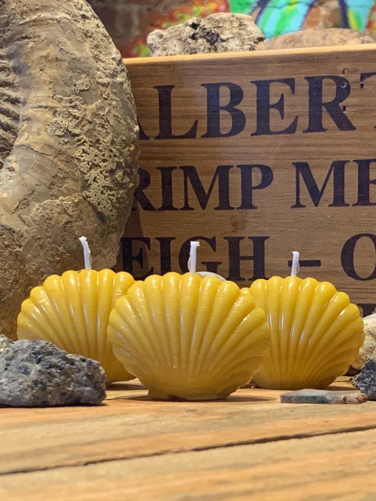 Homemade Natural Beeswax Mermaid’s Trio Of Scallop Sea Shells Candles Essential Oil Or fragrance Free UK Post