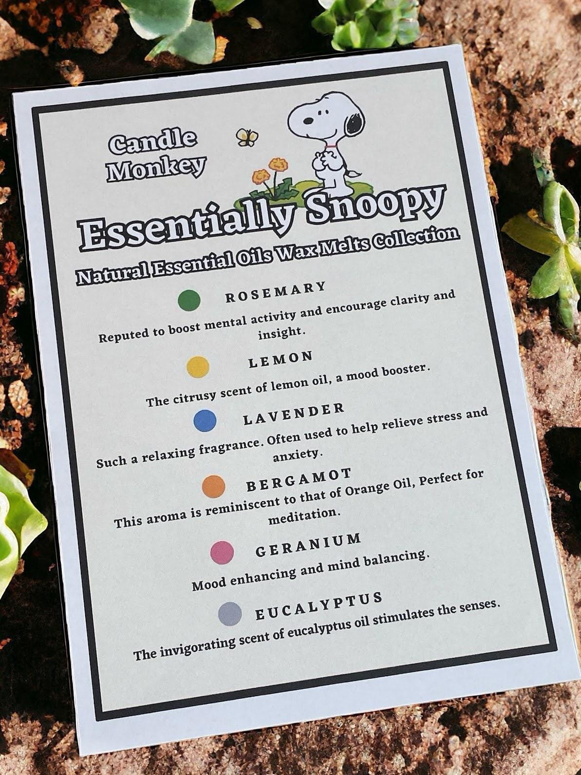 Selbstgemachte Essentially Snoopy Kollektion natürlicher ätherischer Öle zum Schmelzen von Wachs in Geschenkbox. Kostenlose Lieferung innerhalb Großbritanniens.