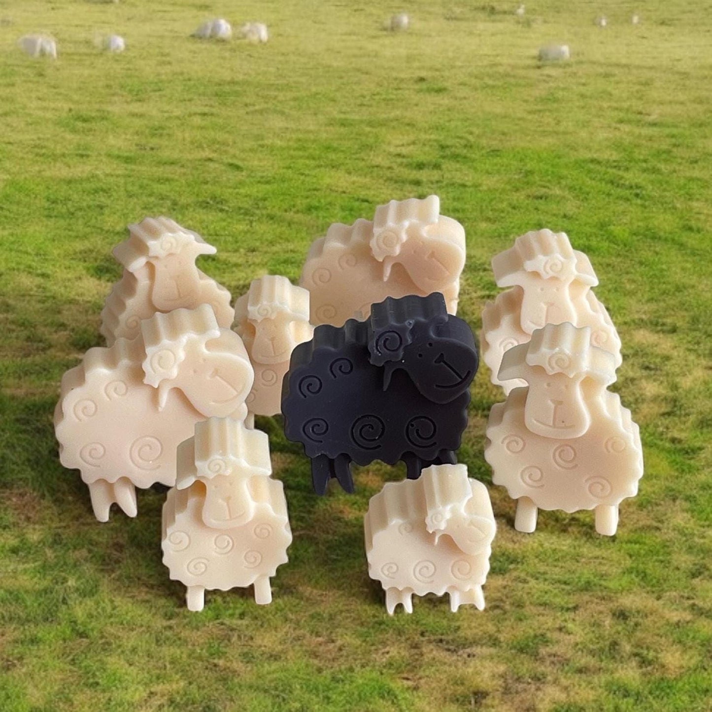 Looking Sheepish – Spring Lamb Farm Gift Box Of 10 Wax Melts  (Free UK Post)