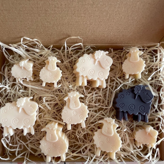 Looking Sheepish – Spring Lamb Farm Gift Box Of 10 Wax Melts  (Free UK Post)