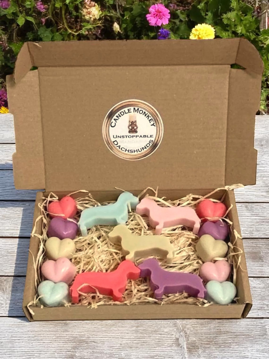 Unstoppable Dachshunds Sausage Dogs Box Of Wax Melts Fresh Blue Spring Lavish Bliss Dreams Laundry. Spring Clean Scents. Free UK Post